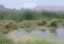 Es más fácil no verlo que protegerlo