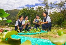 Samsung Solve for Tomorrow: 30.000 talentos impulsados en Perú