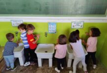 Regreso a clases 2026: Cuáles son los 5 virus más comunes y aprende a cómo prevenirlos