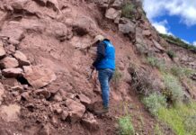 San Martín: saturación de suelos causó deslizamiento en Agua Blanca