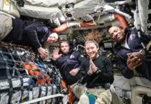 EN VIVO | Sigue el retorno a la Tierra de la misión Artemis II