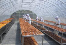 Siete regiones abren postulaciones para concursos de innovación