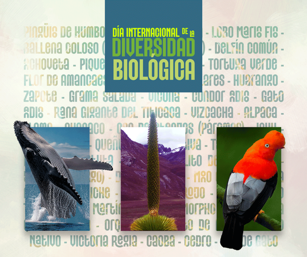 Día internacional de la diversidad biológica Concytec