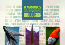 Agenda de Concytec celebra la gran biodiversidad del Perú