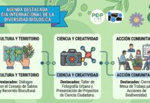 Día Internacional de la Diversidad Biológica: revisa la agenda completa de actividades del Concytec
