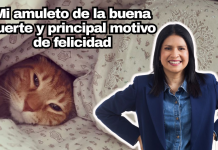 El día en que mi gato me enseñó a respirar