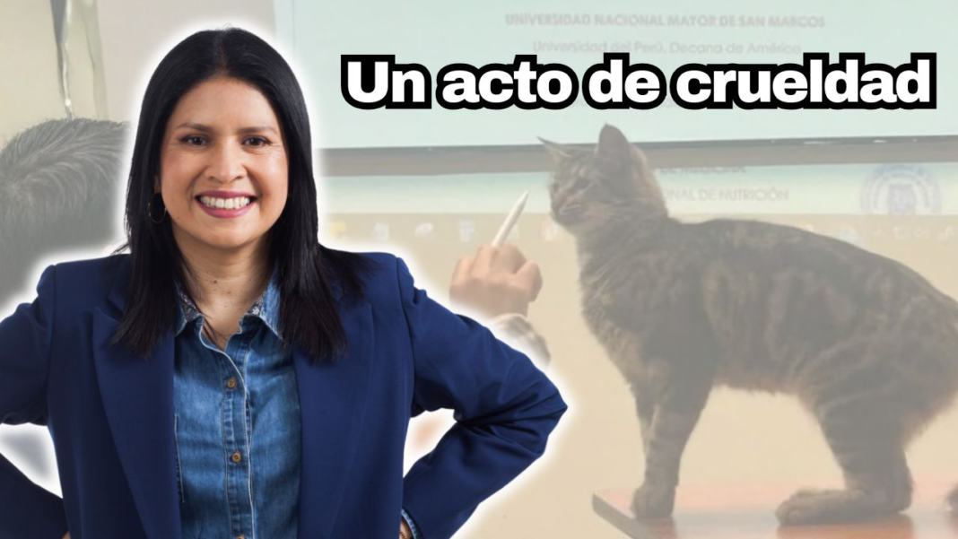 HEIDI NOTA