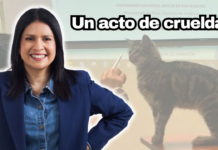 Cuando la crueldad llegó a las aulas universitarias