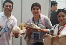 El hilo que nace del bosque seco: Conceiba y su impacto en la moda sostenible