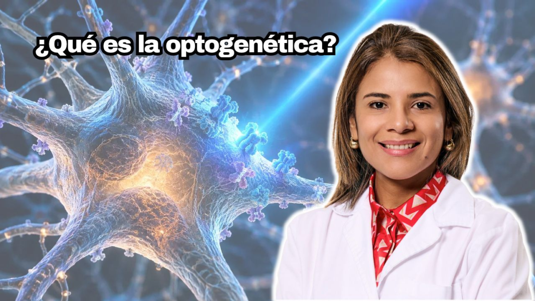 Optogenética Gladys
