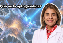Optogenética: el premio Nobel de Medicina y su relación con la visión